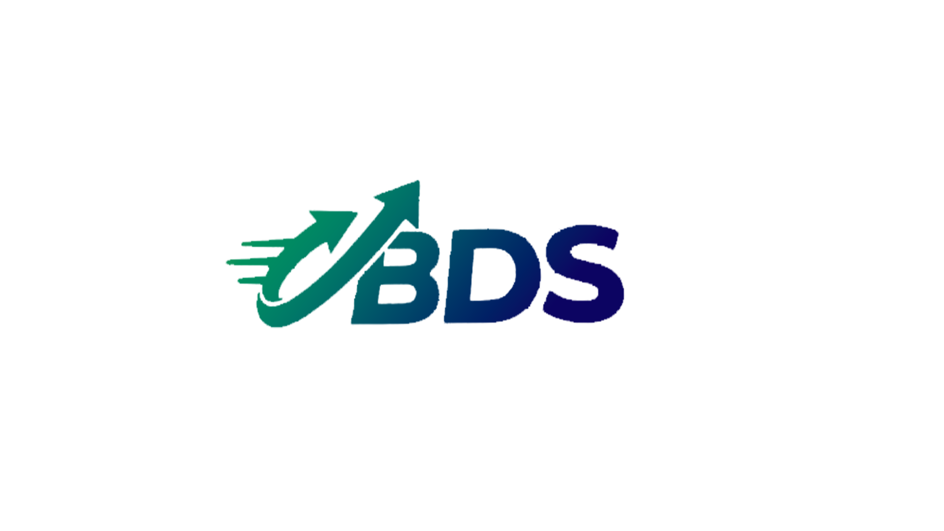 BDS Solutions Logo